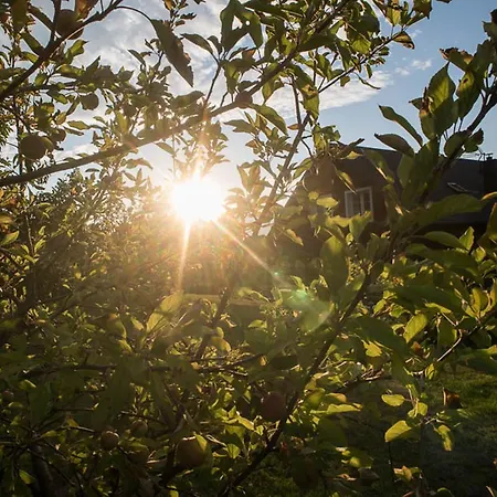 Dom wakacyjny Bukolik Bukowiec (Lower Silesia)
