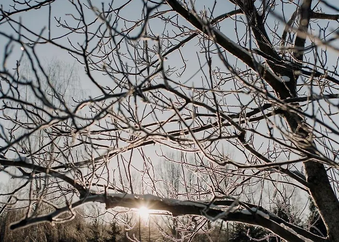 Semesterbostad Bukolik Bukowiec (Lower Silesia)