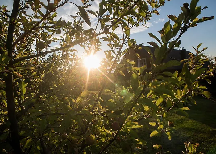Semesterbostad Bukolik Bukowiec (Lower Silesia)